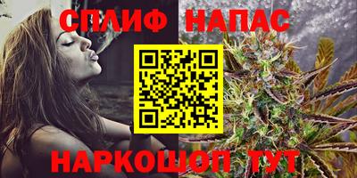 дурь Кингисепп