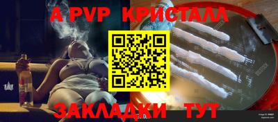 дурь Кингисепп